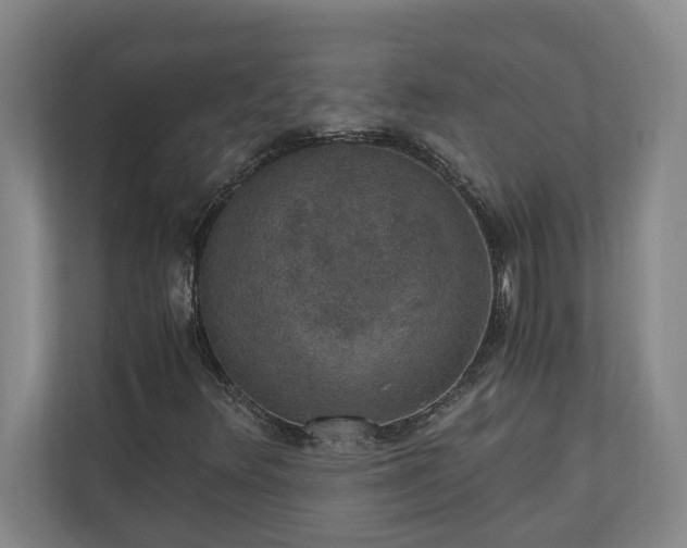X0000110891348200906251309