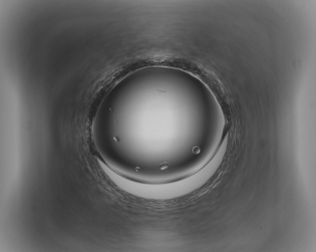 X0000110891349200906251309
