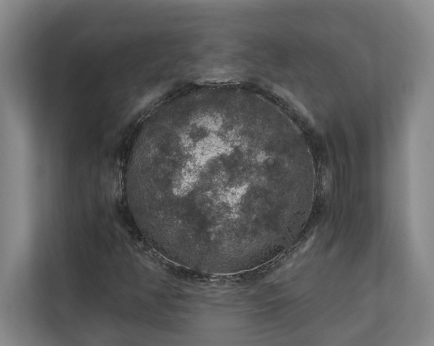 X0000110891350200906251309