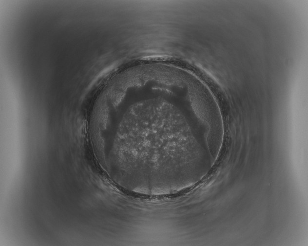 X0000110891351200906251309
