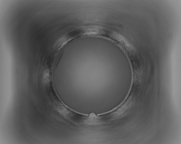 X0000110891353200906251309