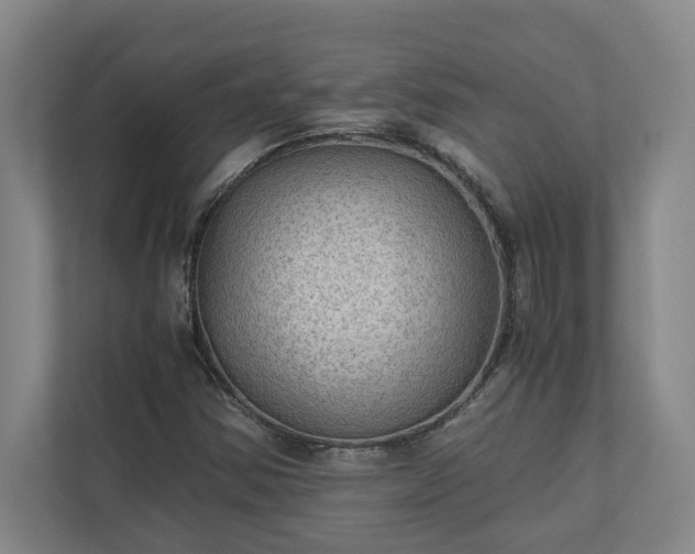 X0000110891354200906251309