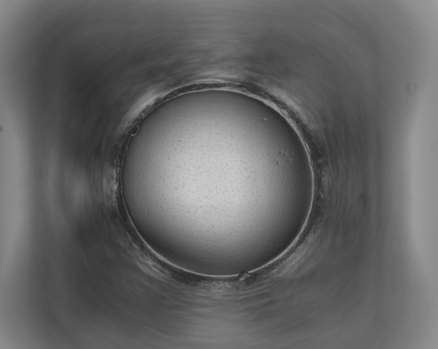 X0000110891355200906251309