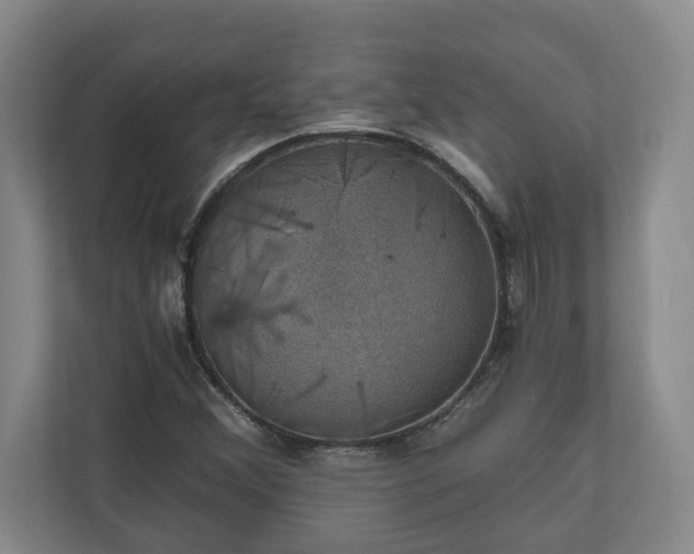 X0000110891356200906251309