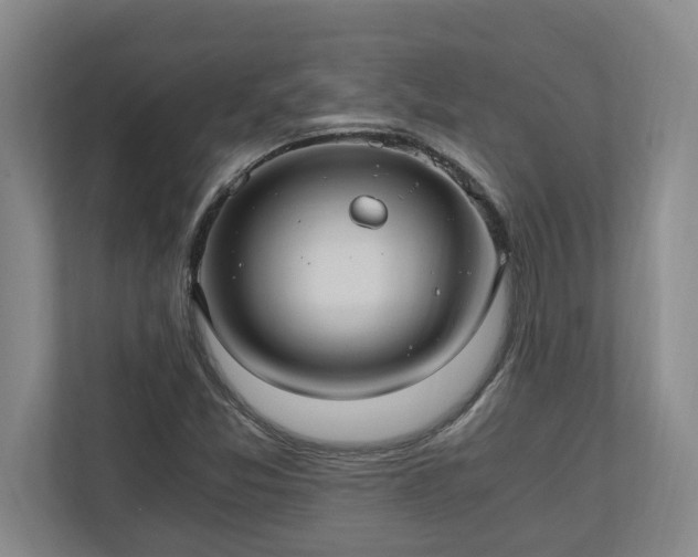 X0000110891357200906251309