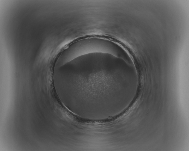 X0000110891359200906251309