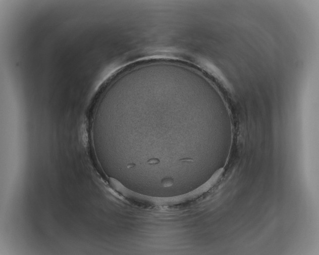 X0000110891360200906251309