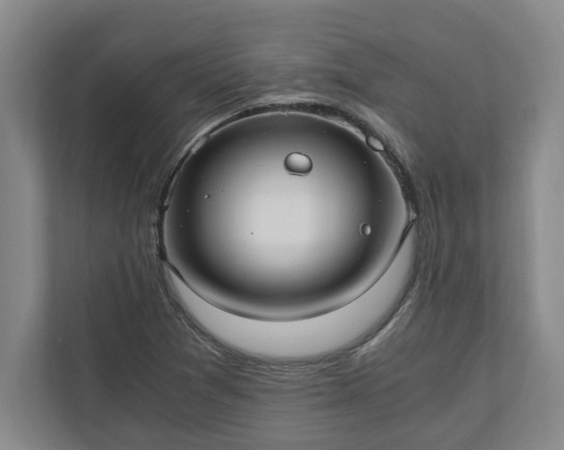 X0000110891361200906251309