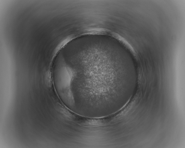 X0000110891362200906251309
