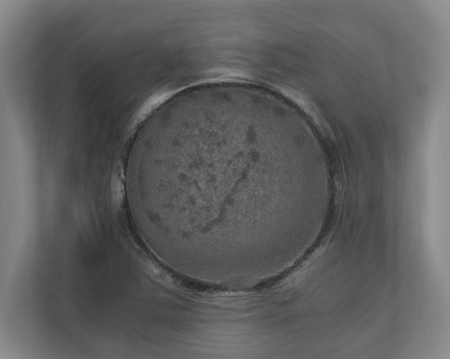 X0000110891363200906251309