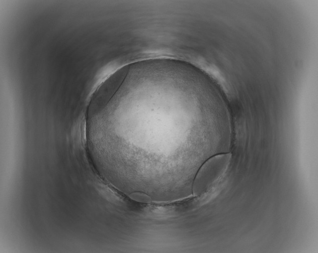 X0000110891365200906251309