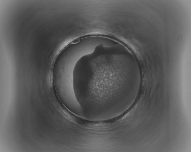 X0000110891367200906251309
