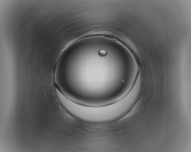 X0000110891369200906251309