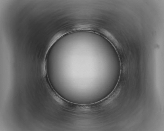 X0000110891370200906251309