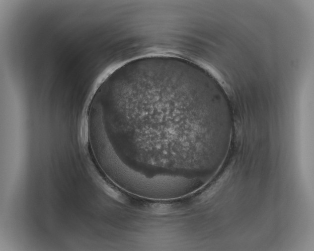 X0000110891371200906251309