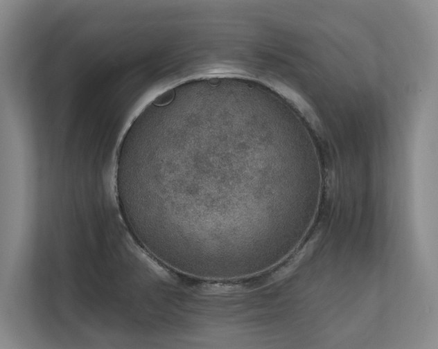 X0000110891374200906251309