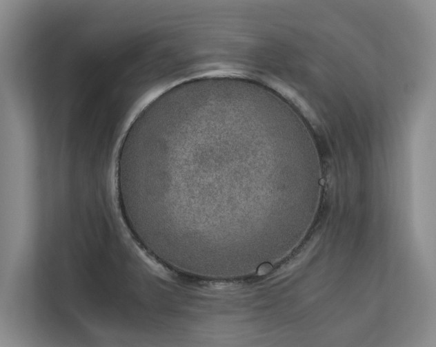 X0000110891375200906251309