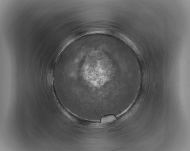 X0000110891377200906251309