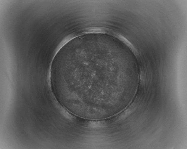 X0000110891378200906251309