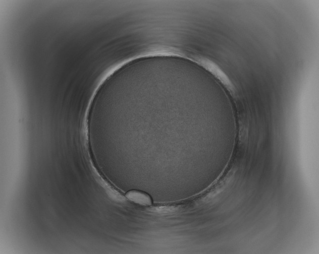 X0000110891380200906251309
