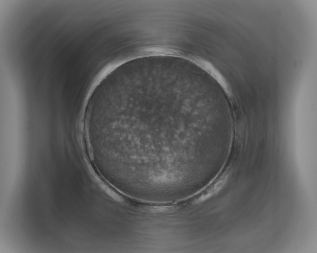 X0000110891381200906251309