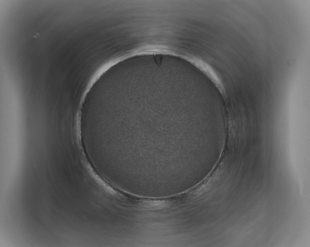 X0000110891382200906251309