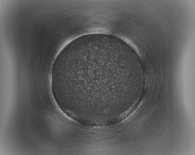X0000110891383200906251309