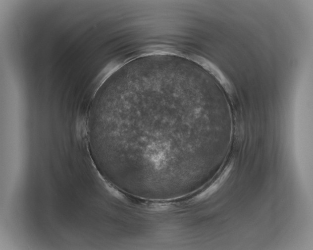X0000110891385200906251309
