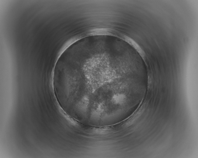X0000110891386200906251309