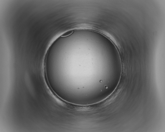 X0000110891387200906251309