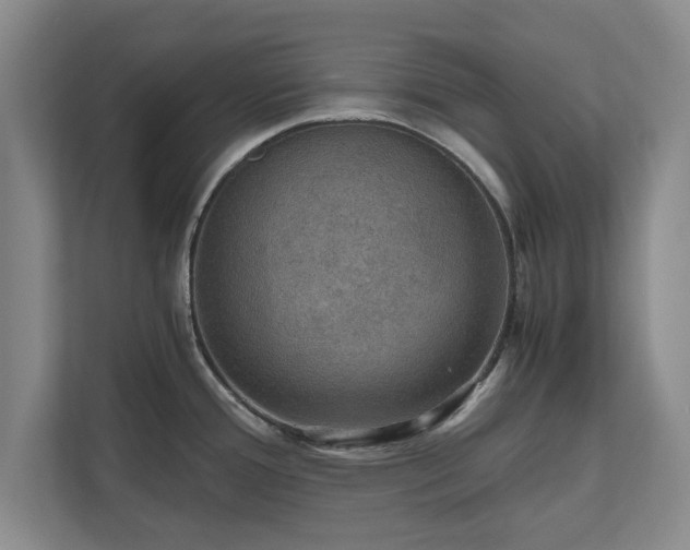 X0000110891388200906251308