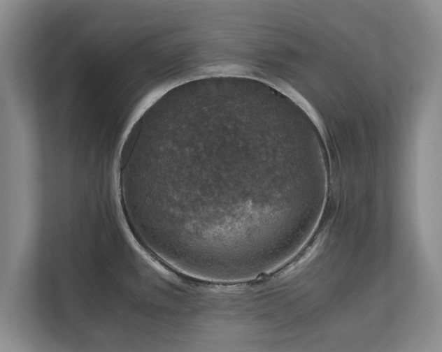 X0000110891389200906251308