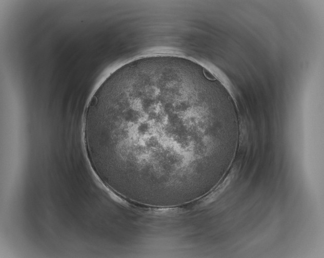 X0000110891390200906251308