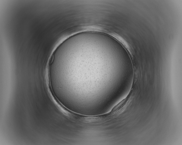 X0000110891391200906251308