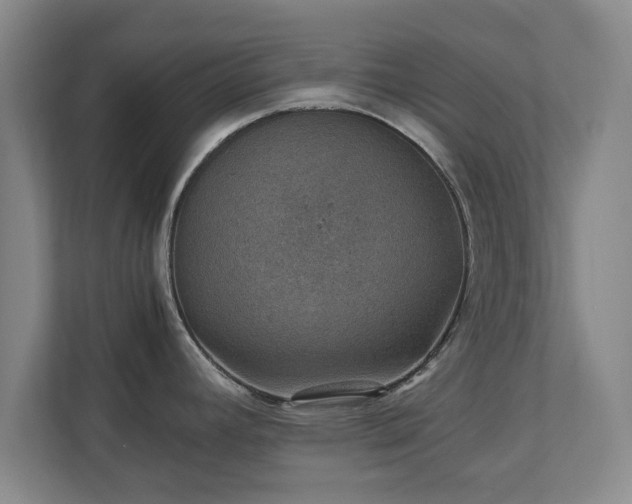 X0000110891392200906251308
