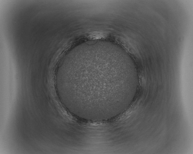 X0000110891393200906251308