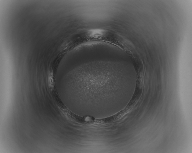 X0000110891394200906251308