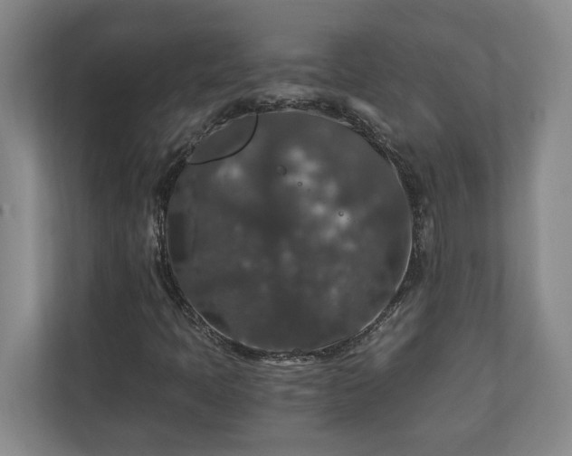 X0000110891397200906251308