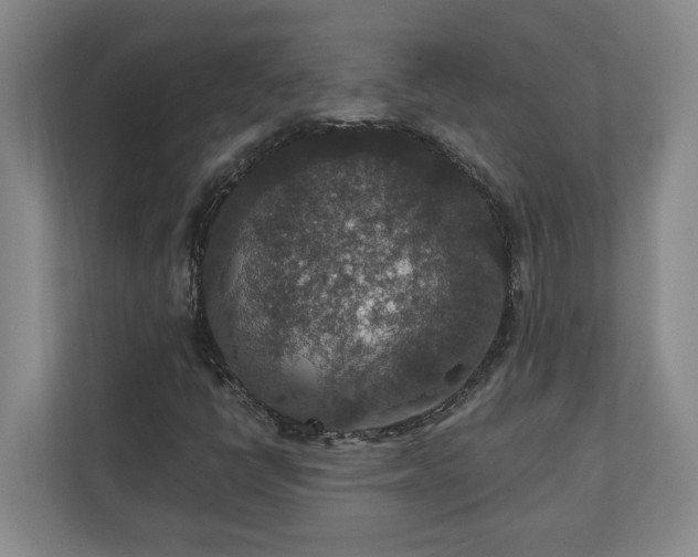 X0000110891398200906251308