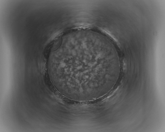 X0000110891399200906251308