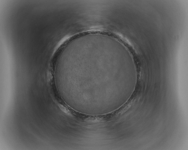 X0000110891400200906251308