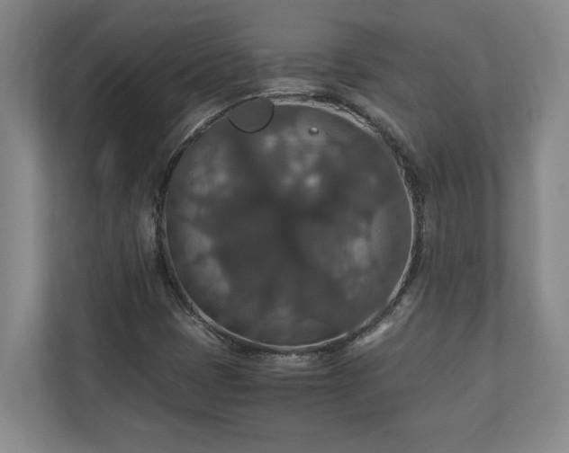 X0000110891401200906251308