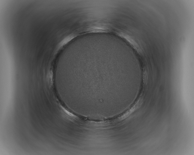 X0000110891402200906251308