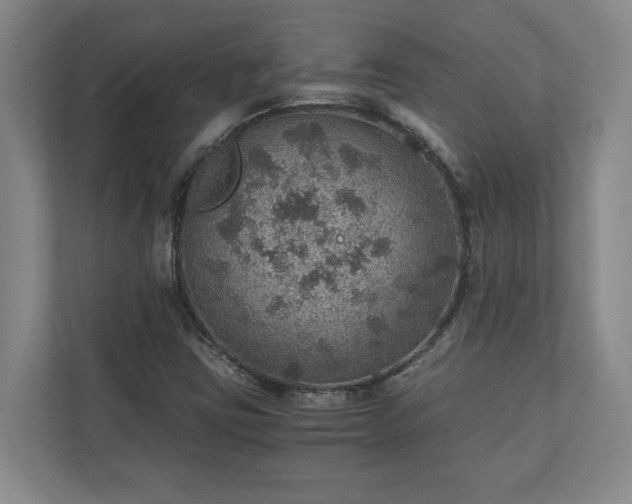 X0000110891403200906251308