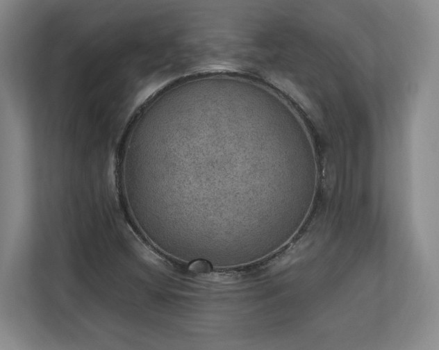 X0000110891404200906251308