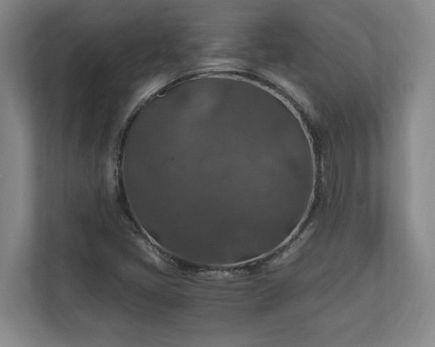 X0000110891405200906251308