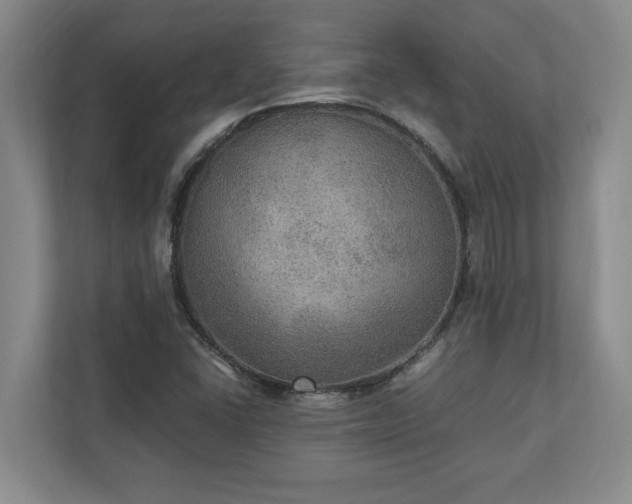 X0000110891406200906251308