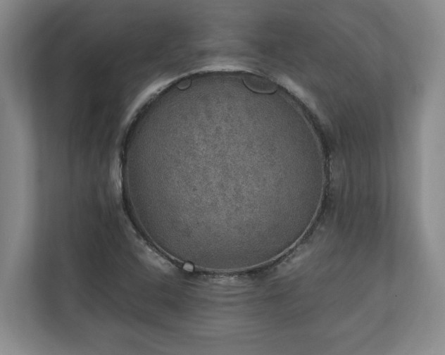 X0000110891408200906251308