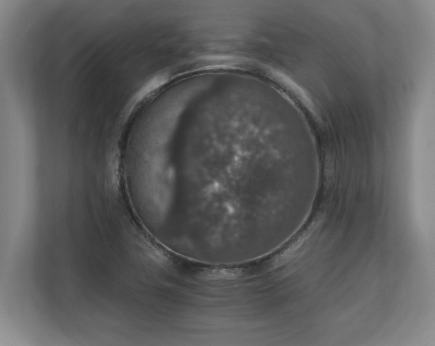 X0000110891411200906251308