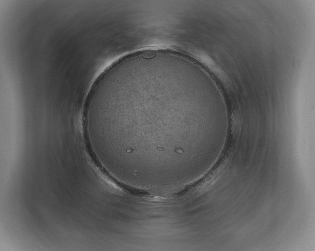 X0000110891412200906251308